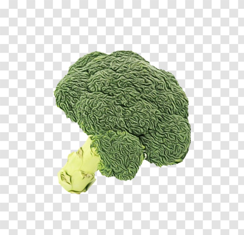 Vegetables Cartoon - Broccoli - Cauliflower Wild Cabbage Transparent PNG