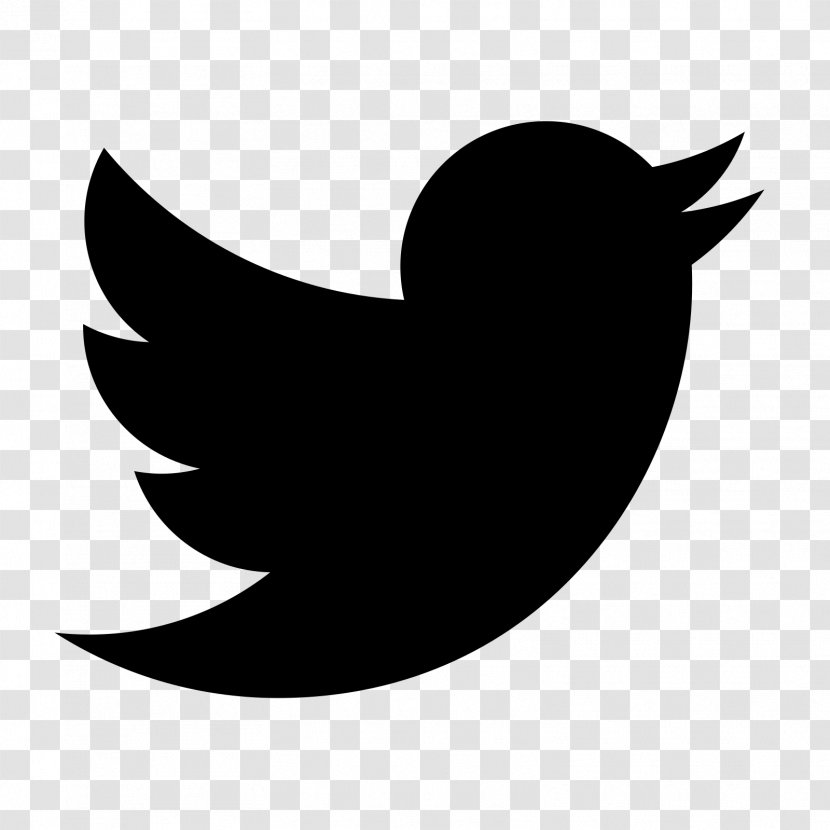 PUBLIC Social Media - Crescent - Twitter Bird Transparent PNG