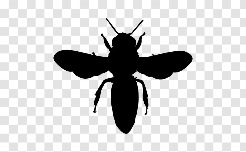 European Dark Bee Silhouette Honey Bumblebee - Monochrome Photography - Bees Vector Transparent PNG