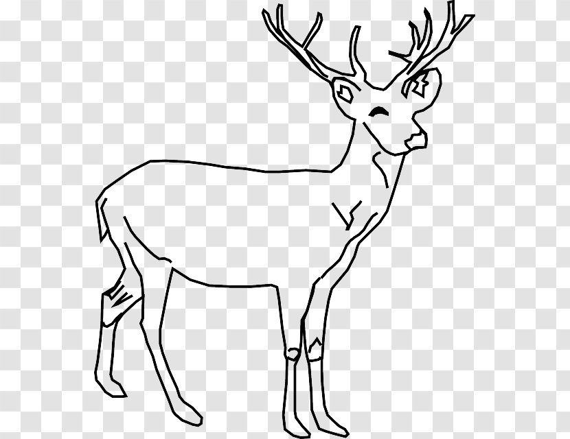 White-tailed Deer Red Drawing Clip Art - Monochrome - Cowboy Skull Transparent PNG