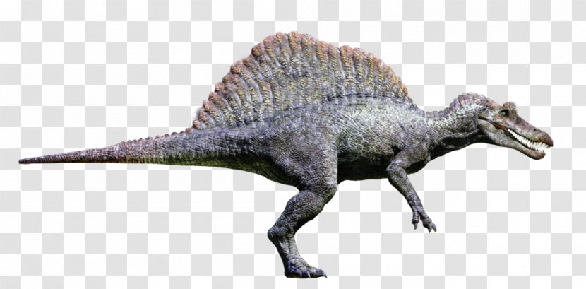 Spinosaurus Tyrannosaurus Velociraptor Giganotosaurus Jurassic Park: Operation Genesis - Spinosauridae - Vector 3d Illusion Led Transparent PNG