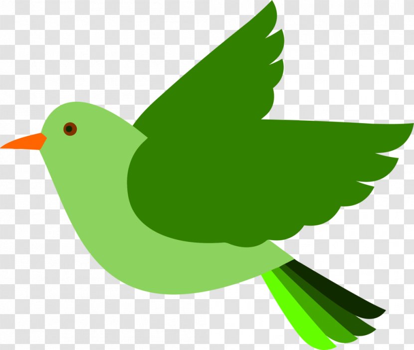 Bird Clip Art - Beak Transparent PNG