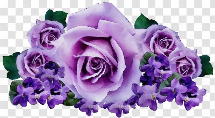 Garden Roses - Lilac - Plant Rose Family Transparent PNG