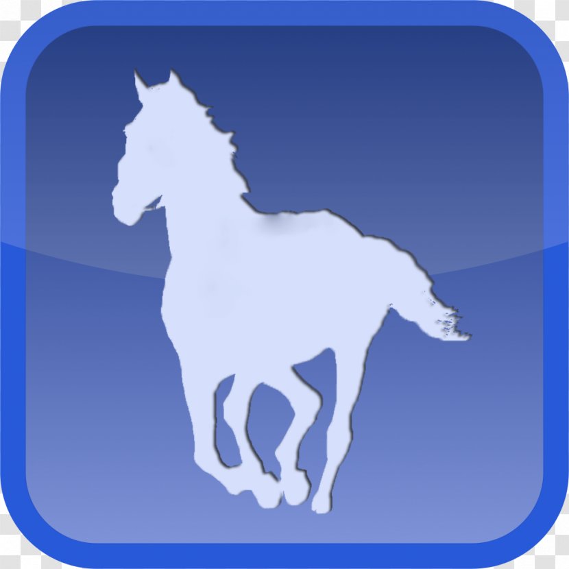 Pony T-shirt Equestrian Horse Fayetteville - Colt Transparent PNG