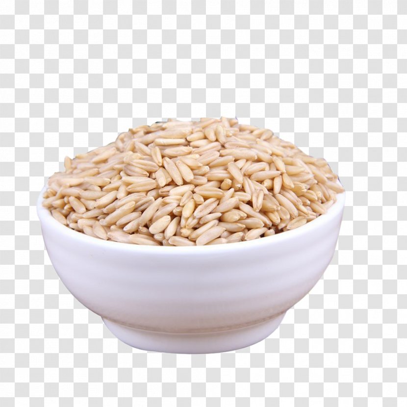 Oat Organic Food Rice Cereal - Tree - Yan Pearl Barley 450g Transparent PNG