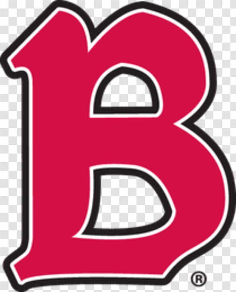 Benedictine University Eagles Football Men's Basketball At Mesa Redhawks College - Academic Degree - Student Transparent PNG