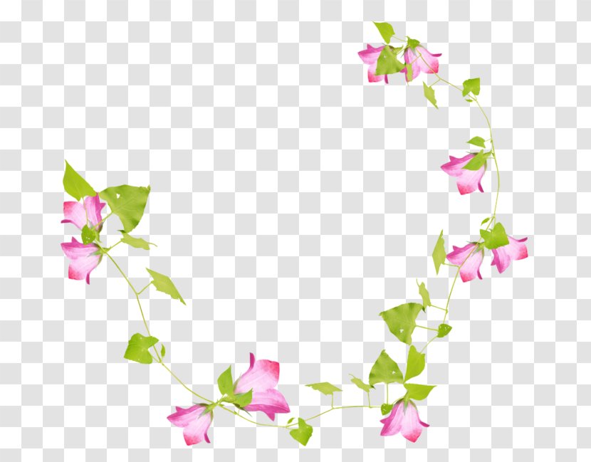 Floral Design Liana Branch Clip Art - Plant Stem - Petal Transparent PNG