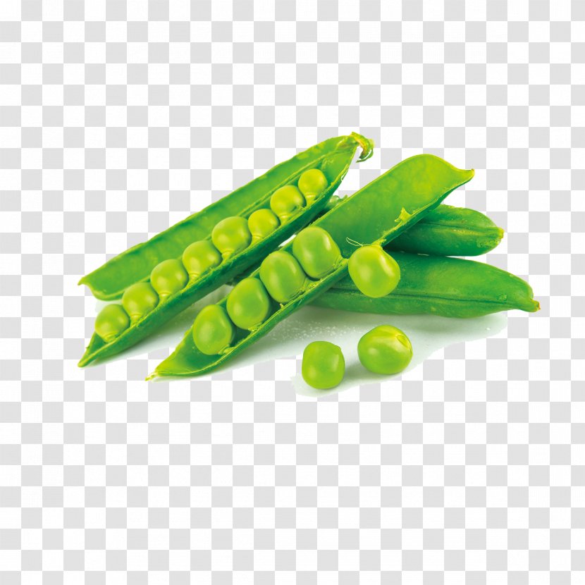Snap Pea Dietary Supplement Protein Bean Transparent PNG