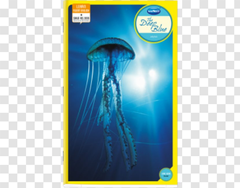 Immortal Jellyfish Box Polyp Planula Animal - Electric Blue - Nostalgia Paper Transparent PNG