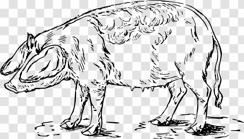 Wild Boar Drawing Clip Art - Line - Silhouette Transparent PNG