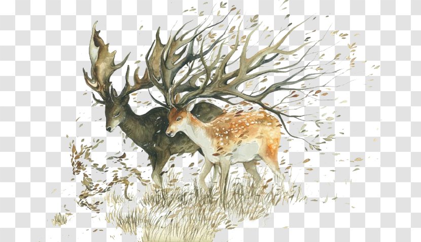 Watercolor Painting Artist Drawing Illustrator - Arts - Cartoon Forest Deer Transparent PNG