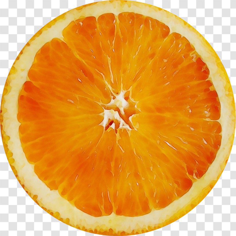 Orange - Tangelo - Tangerine Transparent PNG