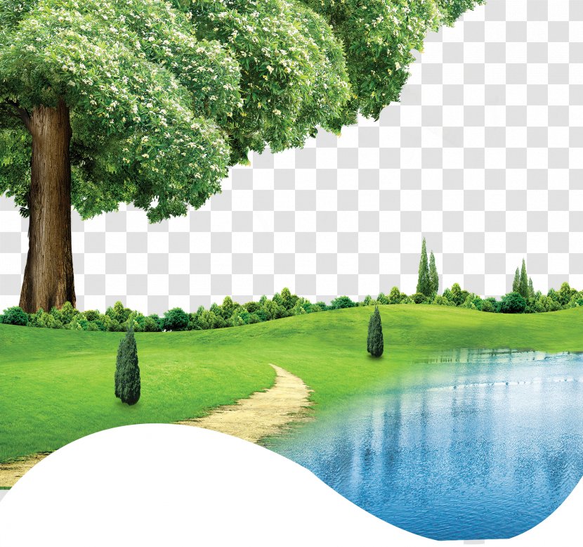 CorelDRAW Download Green - Nature - Spring Background Effect Transparent PNG