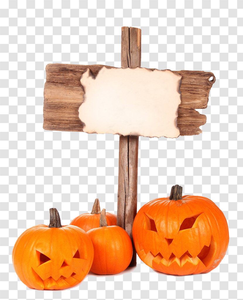 Pumpkin And Mupai - Halloween Costume Transparent PNG