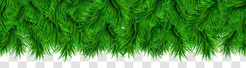 Download.com Microsoft Windows CCleaner Software - Christmas - Pine Border Decoration Clip Art Transparent PNG