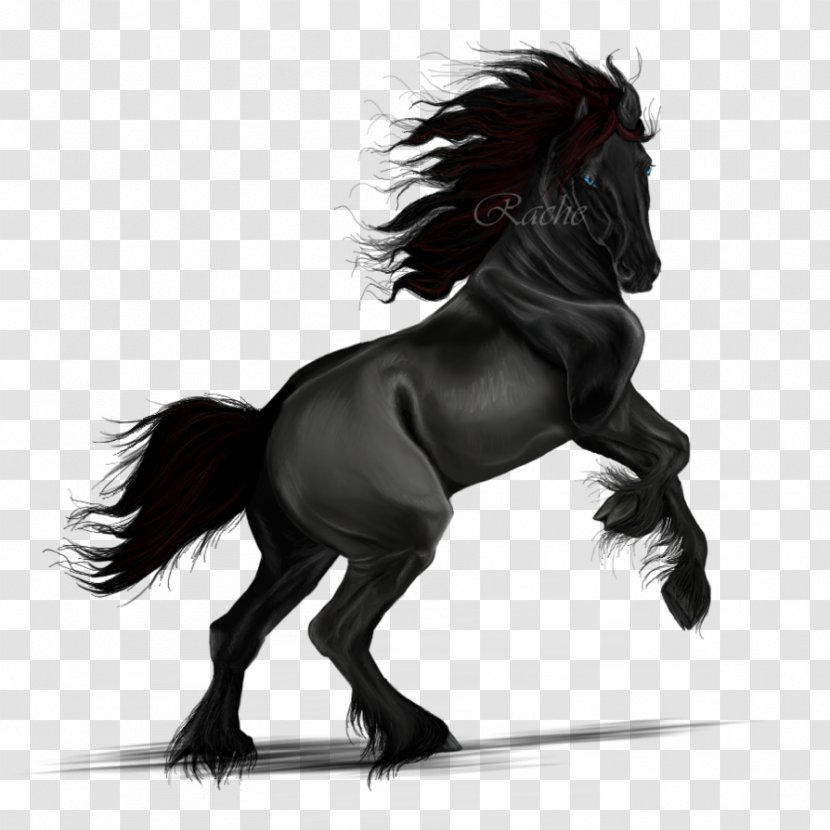 Mane Mustang Pony Art Stallion - Livestock Transparent PNG