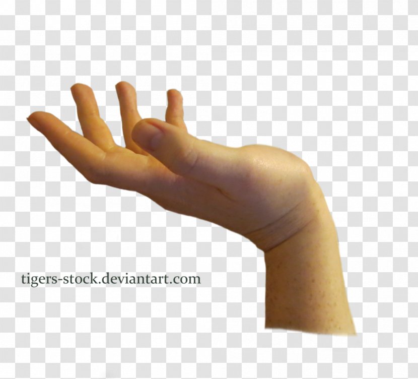Hand Finger Image File Formats - Hands Transparent PNG