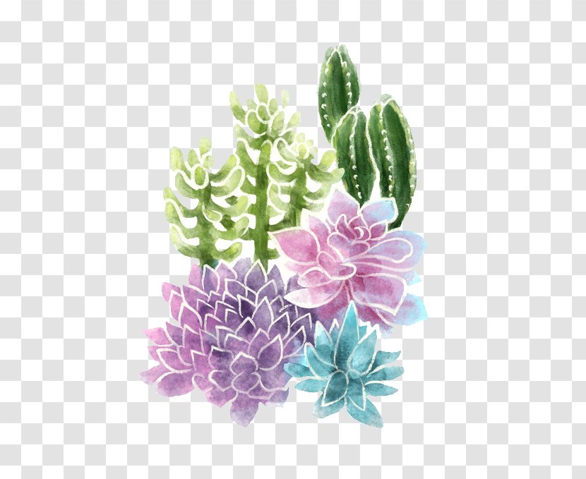 Succulent Plant Cactaceae Cacti And Succulents - Organism Transparent PNG
