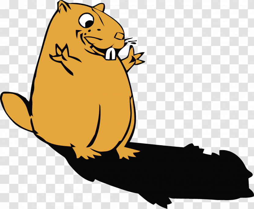 Beaver Gerbil Rat Groundhog Muroidea Transparent PNG