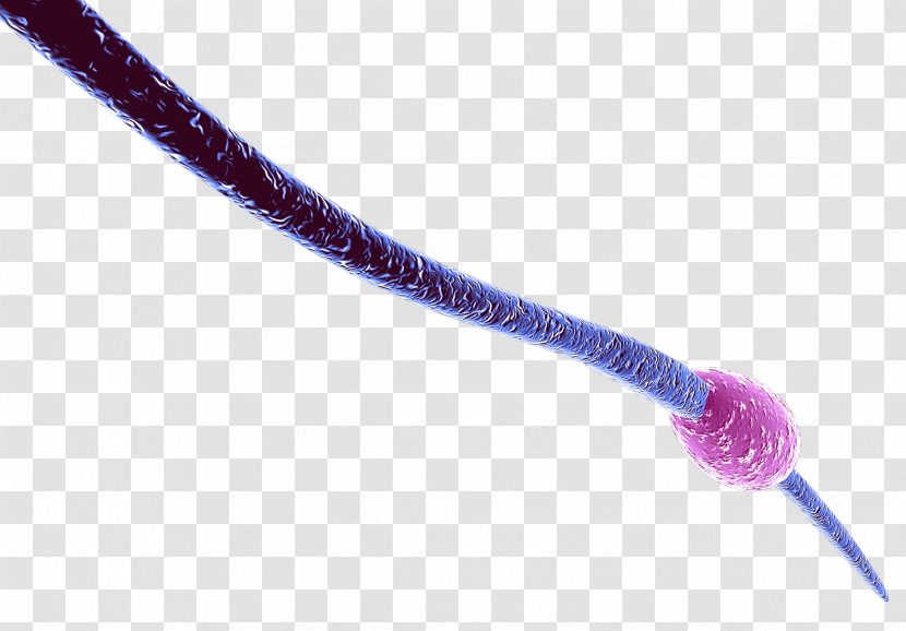 Knot - Purple - Foot Bacterial Virus Transparent PNG