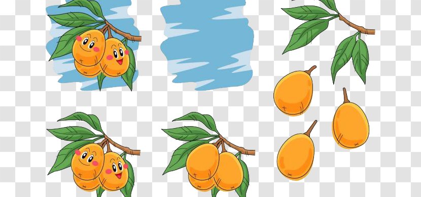 Auglis Pear Illustration - Tencent Qq - Cute Apricot Transparent PNG