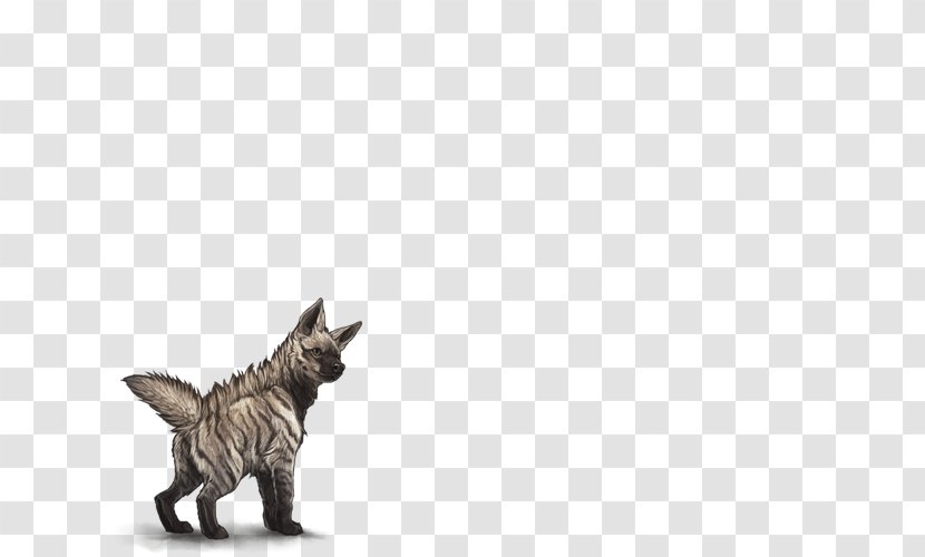 Maltese Dog Felidae Cat Striped Hyena - Organism Transparent PNG