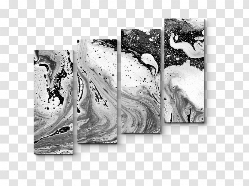Black And White Watercolor Painting Wallpaper - Photography - Exquisite Color Feather Transparent PNG