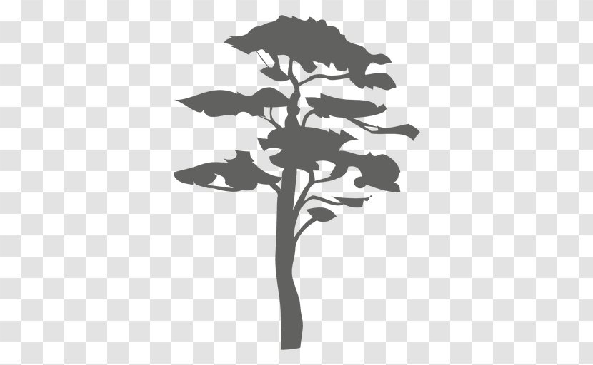 Tree Silhouette Arboriculture Woody Plant Branch - Flora - Arboles Transparent PNG