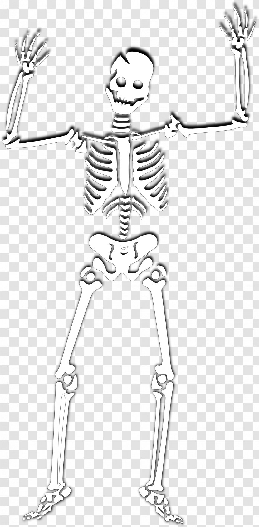 Human Skeleton Skull Clip Art - Heart - Halloween Photos Transparent PNG
