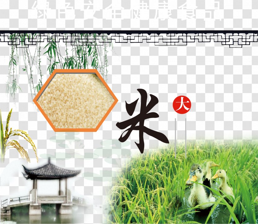 Rice - Designer - Packaging Image Vector Elements Transparent PNG