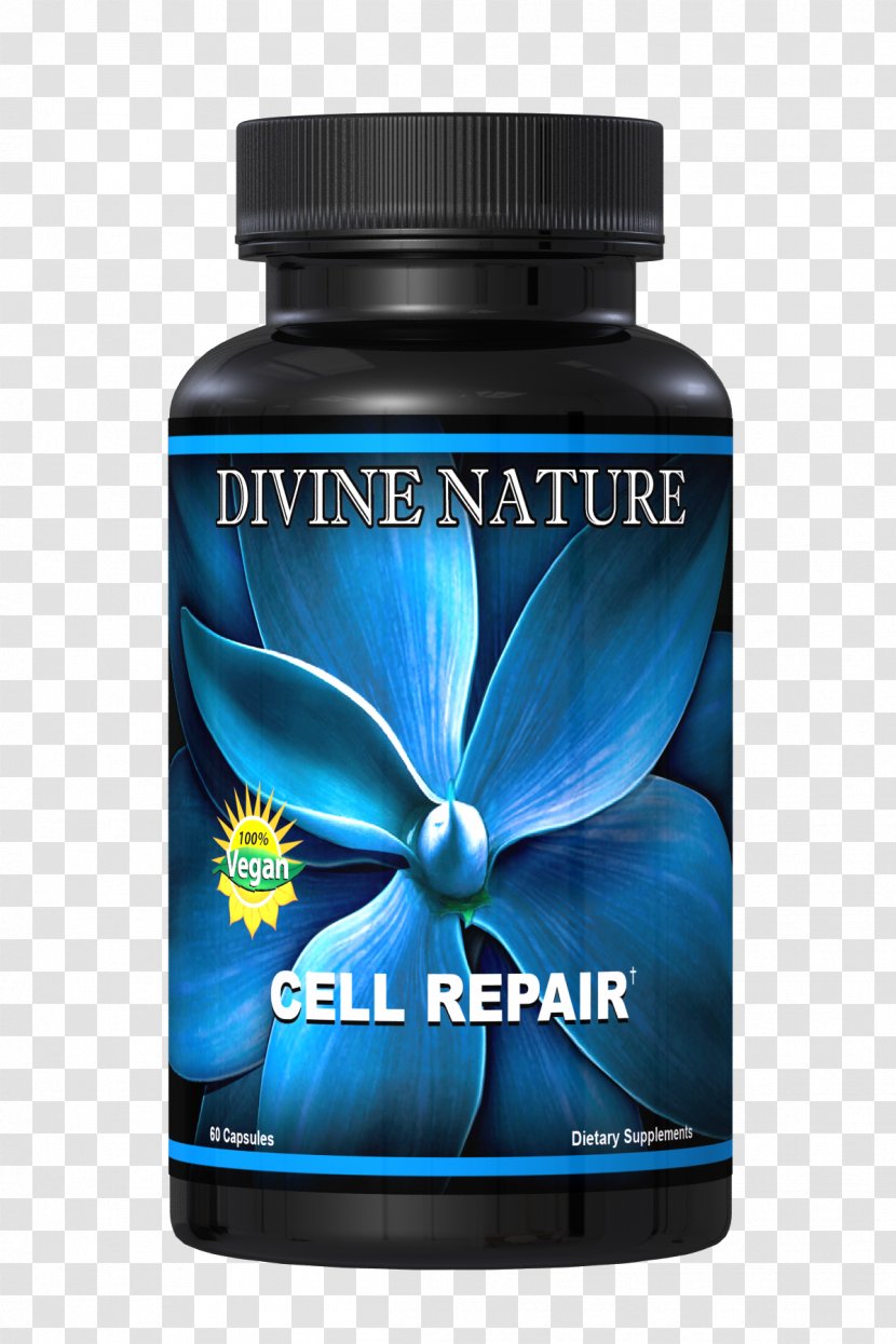 Dietary Supplement Nutrition Health Detoxification Deficiency - Cell Repair Transparent PNG
