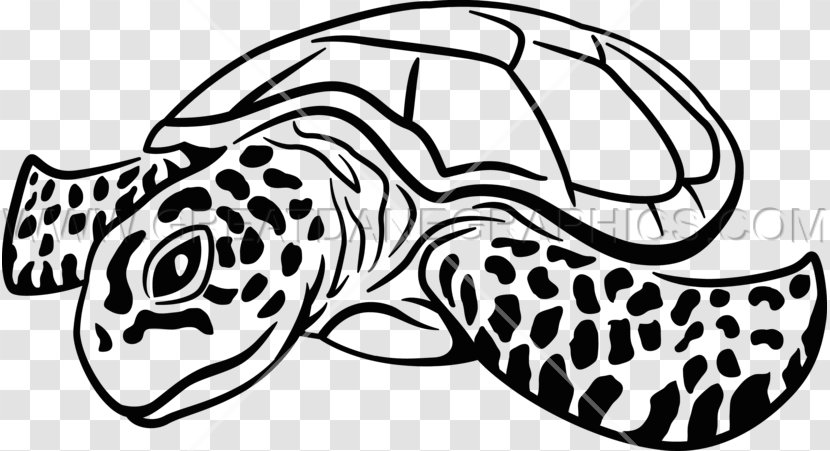 Sea Turtle Drawing Clip Art - Organism - Turtles Transparent PNG