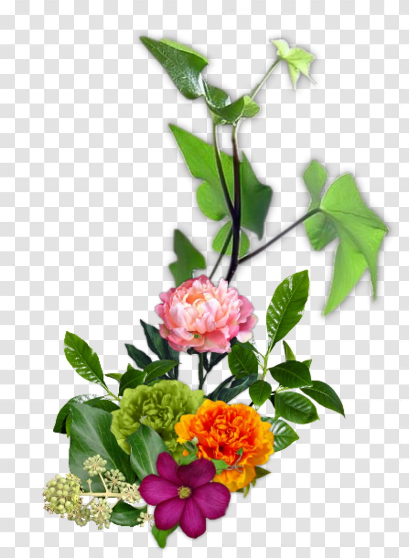 Morning Monday Greeting Blessing - Decor Transparent PNG