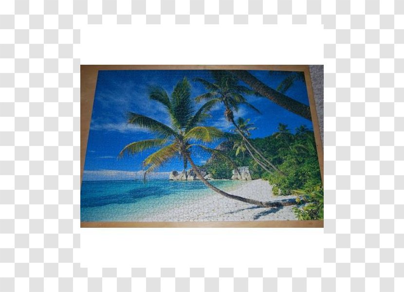 Jigsaw Puzzles Seychelles Painting Acrylic Paint Picture Frames - Frame - Puzzle Box Transparent PNG