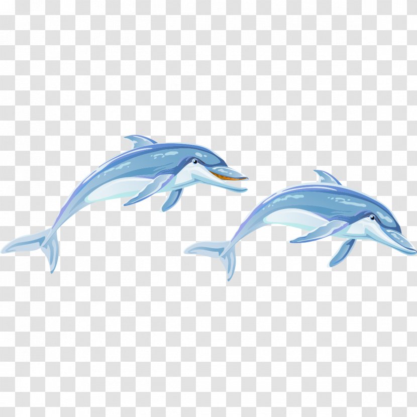Common Bottlenose Dolphin Animal - Fish - Hand-painted Transparent PNG