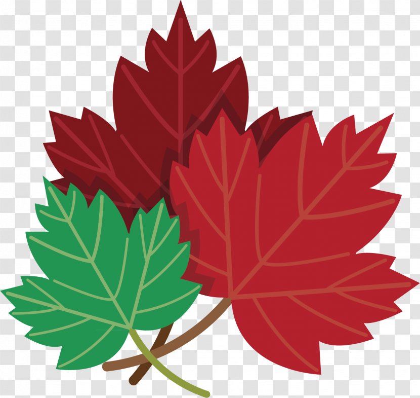 Toronto Maple Leafs Clip Art Vector Graphics - Deciduous - Leaf Logo Transparent PNG