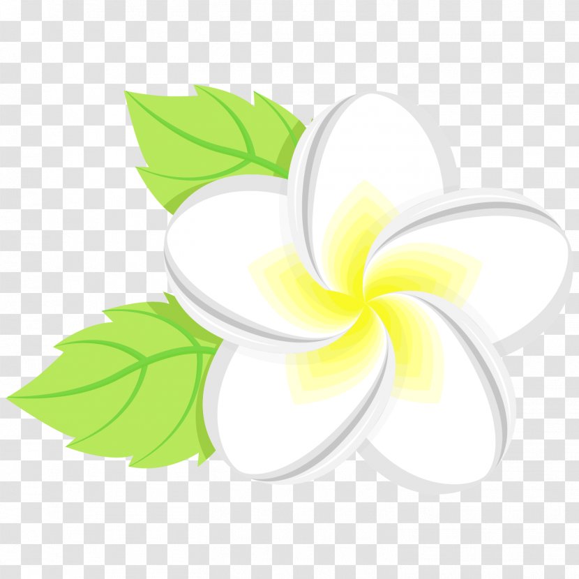 Flower Floral Design Leaf Petal - Spa Theme Transparent PNG