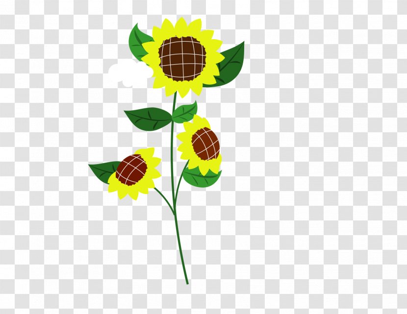 Common Sunflower Child - Flower Transparent PNG