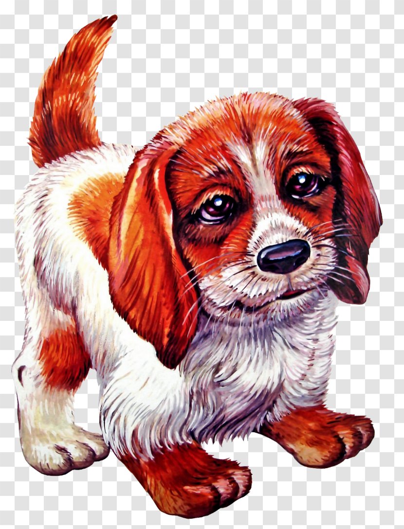 Dog Tag Ukraine Puppy Online Shopping Transparent PNG