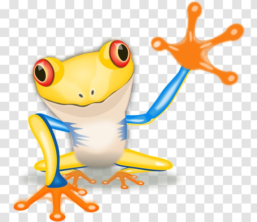 Red-eyed Tree Frog Australian Green Clip Art - Red Eyed - Amphibian Pic Transparent PNG