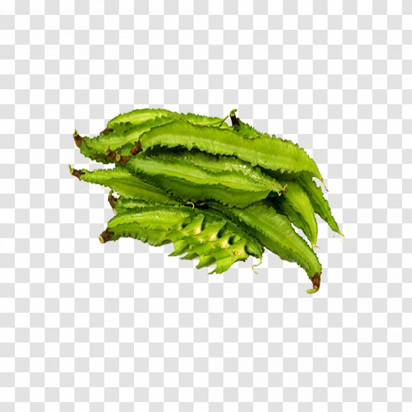 Winged Bean Leaf Vegetable Edamame - Adzuki - Black Beans Transparent PNG