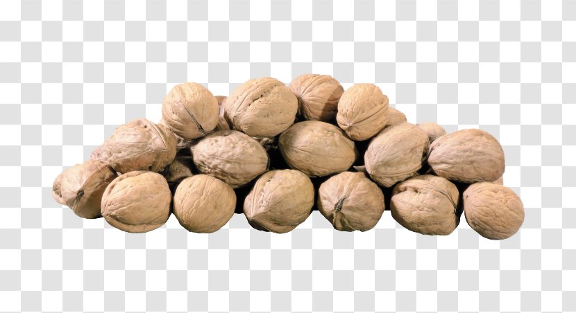 English Walnut Hazelnut Peanut Pistacia - Almond - Photos Transparent PNG