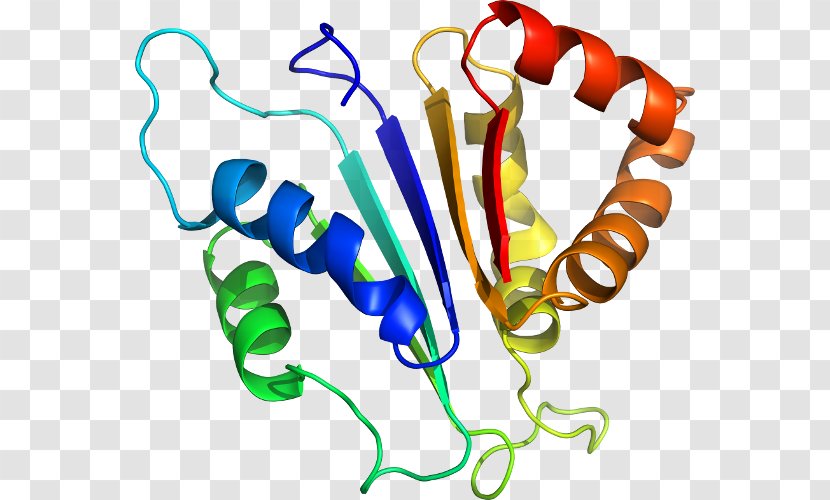 Hydrogen Bond Chemical Peptide Side Chain Conformational Isomerism - Salt Bridge Transparent PNG