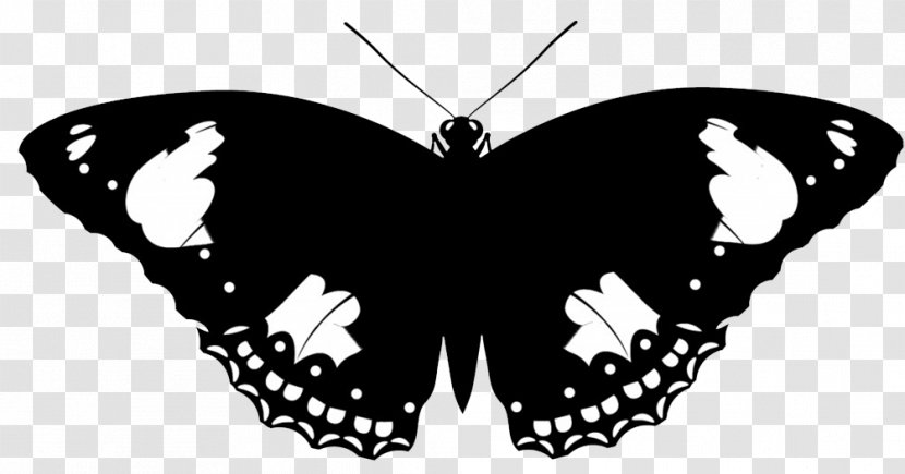 Butterfly Insect Silhouette Clip Art - Free Content - Cliparts Transparent PNG