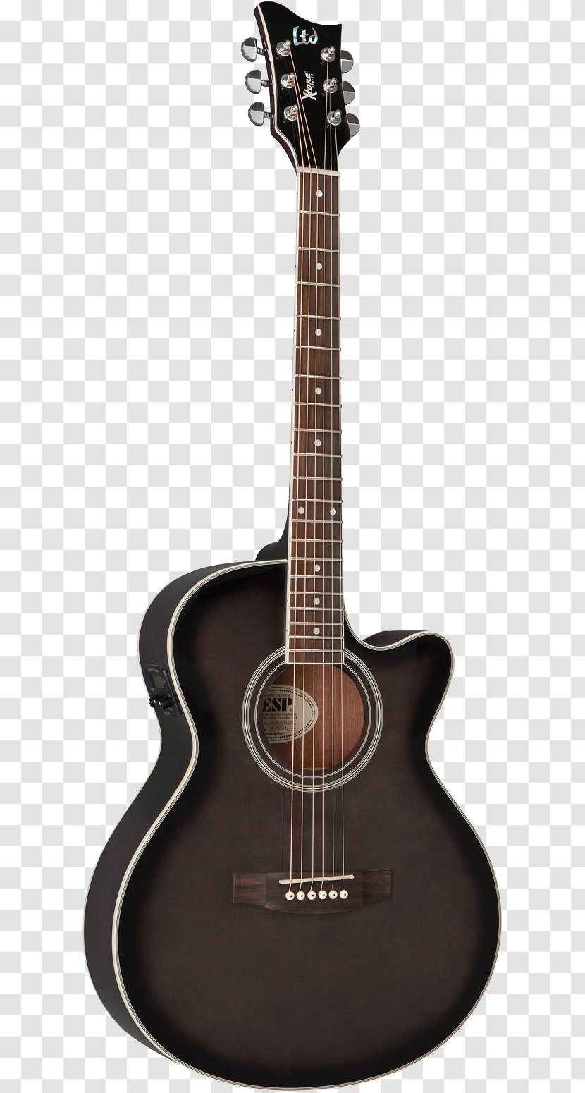 Twelve-string Guitar Taylor Guitars C. F. Martin & Company Acoustic-electric Cutaway - Cartoon - Acoustic Transparent PNG
