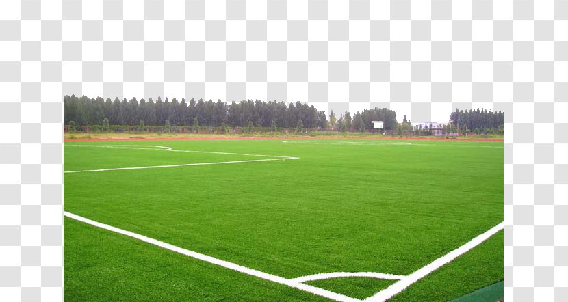 Lawn Football Pitch Artificial Turf - Stadium - Applicable To Soccer Fields Such As Transparent PNG