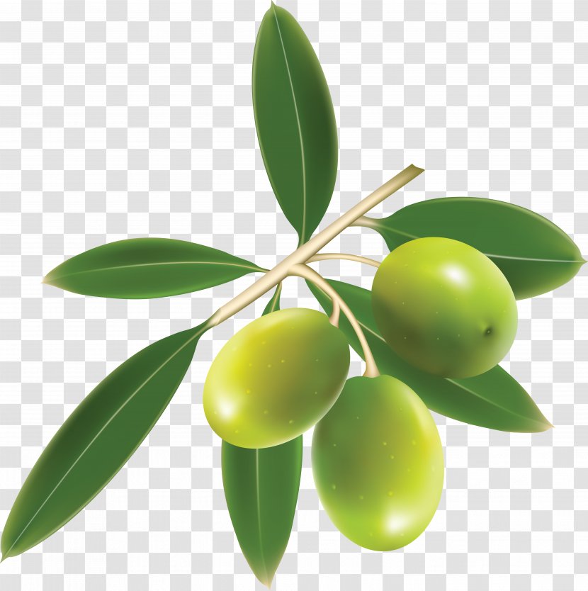 Olive Oil Mediterranean Cuisine - Food - Green Olives Transparent PNG