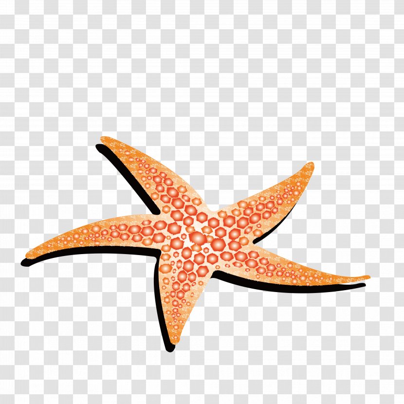 Starfish Animation - Cartoon - Yellow Transparent PNG