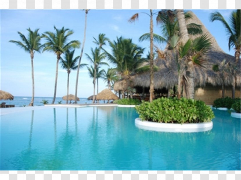 Zoëtry Agua Punta Cana All-inclusive Resort Hotel Vacation - Tropics Transparent PNG