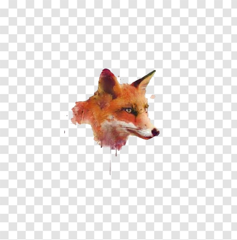 Watercolor Painting Software - Oil - Fox Head Transparent PNG